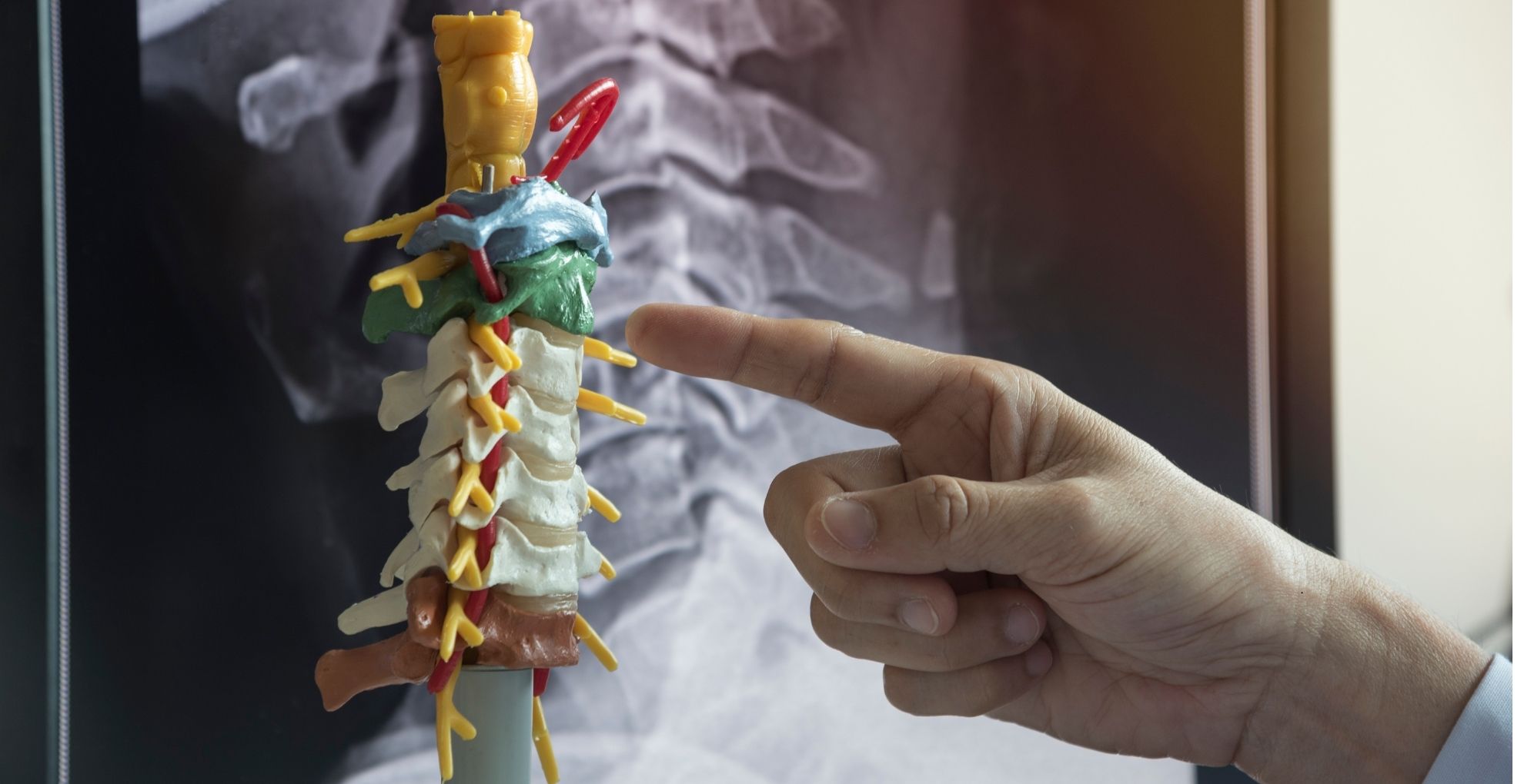 chiropractor pointing at spine model